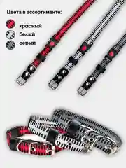 Красный ошейник для собак нейлоновый "Зебра", с пластиковой пряжкой, фастекc