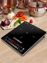 Индукционная плита Endever Skyline IP-60