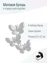 Бижутерная Брошь Бабочки