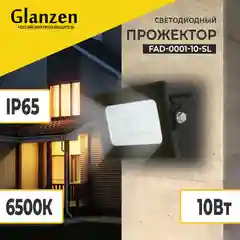Прожектор светодиодный  уличный 10Вт Подсветка дома, гаража, дачи FAD-0001-10-SL