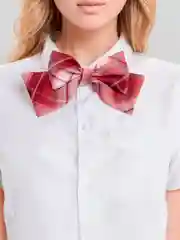 Красный эротический костюм школьницы