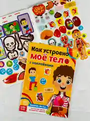 Развивающая книжка с наклейками 2шт для малышей Тело человека Стикеры Анатомия Биология