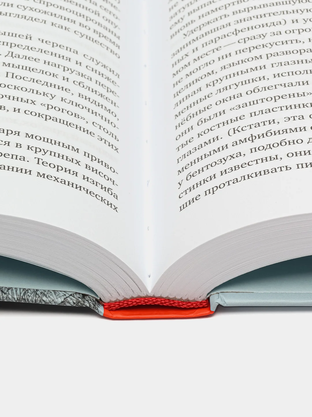 Как живые: двуногие змеи, акулы-зомби и другие исчезнувшие животные