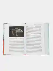 Как живые: двуногие змеи, акулы-зомби и другие исчезнувшие животные