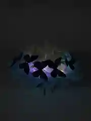 Белый букет из мягких игрушек и бабочек, светящийся, подарок
