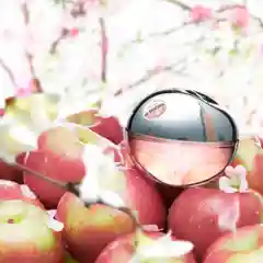 DKNY Be Delicious Fresh Blossom edp lady