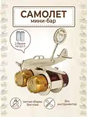 Самолёт для пива, подарок папе, брату, мужу, дедушке на 23 февраля, минибар