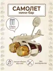 Самолёт для пива, подарок папе, брату, мужу, дедушке на 23 февраля, минибар