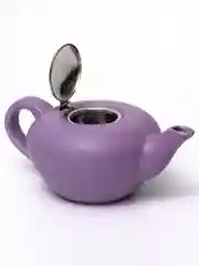 Чайник 1000