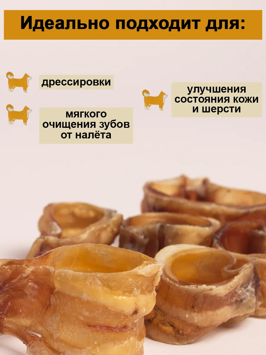 Лакомство для собак. Мисс Кусь. Трахея говяжья колечки 100 грамм