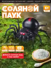 Конструктор Соляной паук