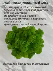 Черный кашпо из гипса со стабилизированным мхом, статуэтка для интерьера, скульптура, ангел, куб