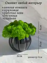 Черный кашпо из гипса со стабилизированным мхом, статуэтка для интерьера, скульптура, ангел, куб
