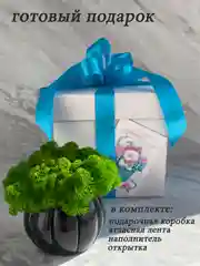 Черный кашпо из гипса со стабилизированным мхом, статуэтка для интерьера, скульптура, ангел, куб