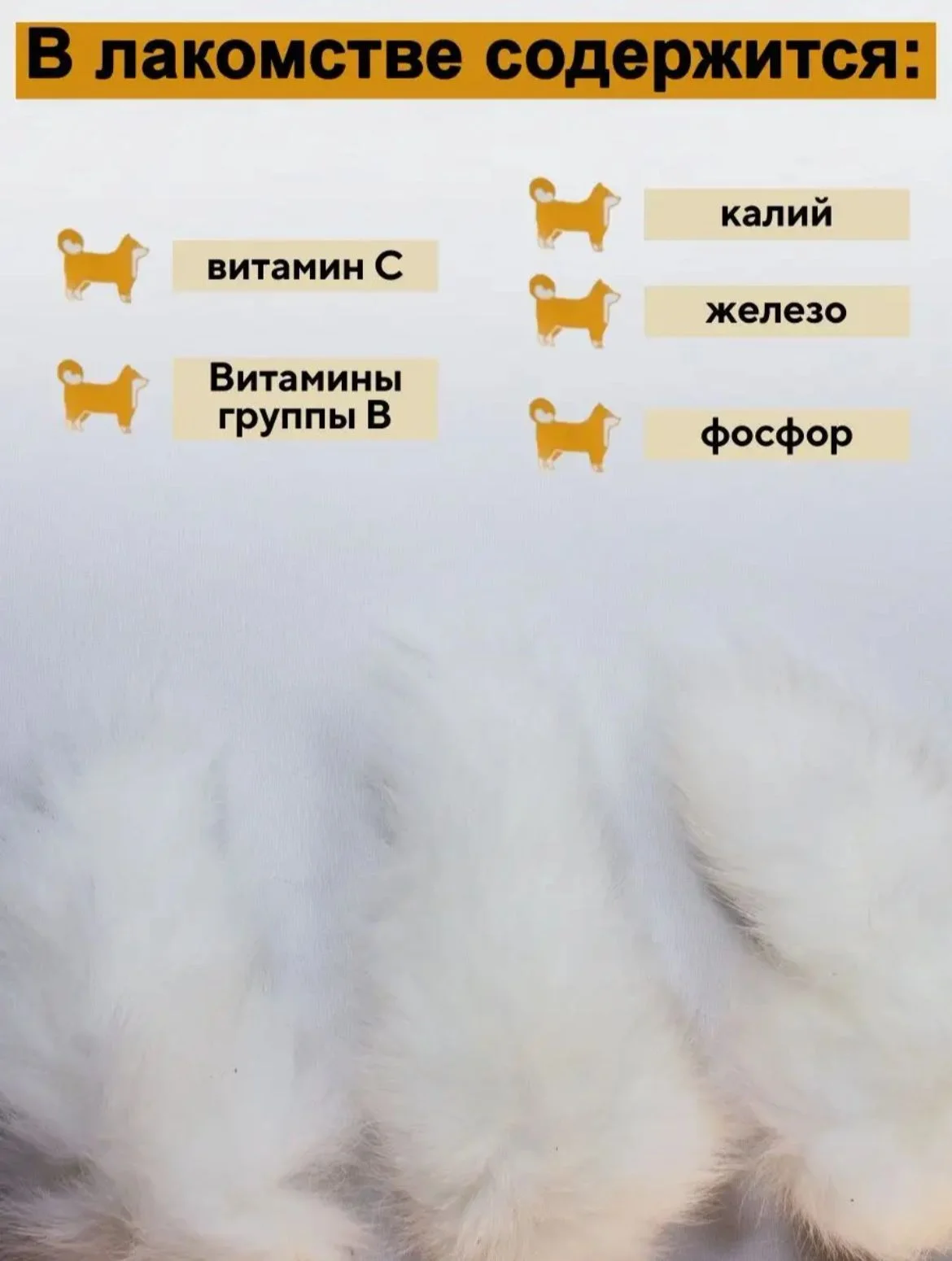 Съедобная игрушка для кошек Мисс Кусь, Хвост кролика 5 шт