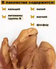 Лакомство для собак, Мисс Кусь , Ухо свиное, 1 шт