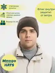 Коричневый шапка мужская, утепленная флисом