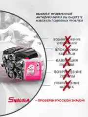 Антифриз для двигателя автомобиля SIBIRIA ANTIFREEZE G12+ (-50)