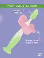 Лайм щетки - массажёры, прорезыватель, грызунки детские FLOWER от ROXY-KIDS, 2 шт