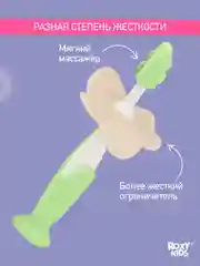 Мятный щетки - массажёры, прорезыватель, грызунки детские FLOWER от ROXY-KIDS, 2 шт