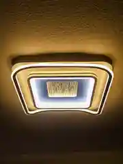 NovoLED 8002