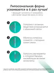БАД к пище SmartLife "Липосомальный витамин В9", 100 порций, в 1 нажатии 400 мкг, 10 мл