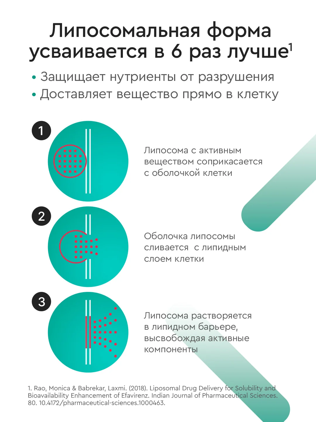 БАД к пище SmartLife "Липосомальный глутатион", флакон с дозатором, 150 мг, 100 мл