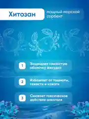 БАД к пище Доктор Море Система Алкосорб. 90 капсул по 0,2г