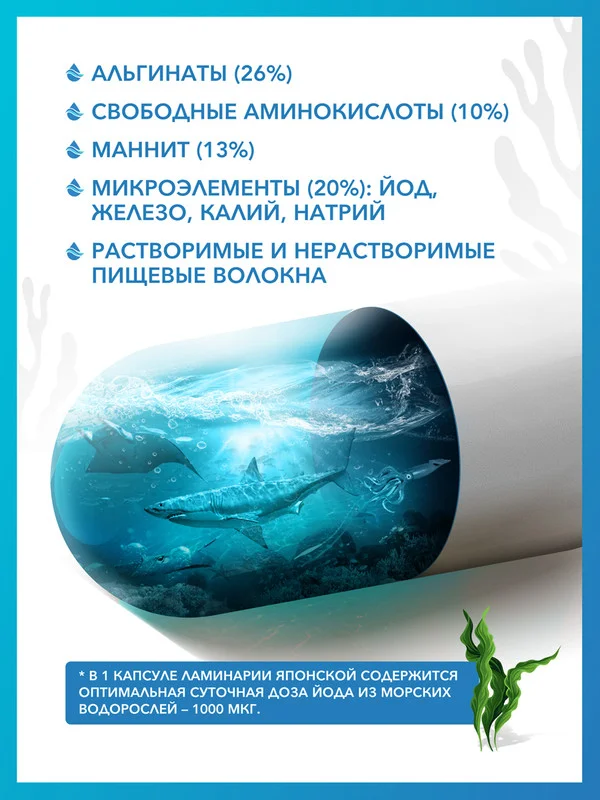 Пищевая добавка Доктор Море Ламинария японская, в капсулах