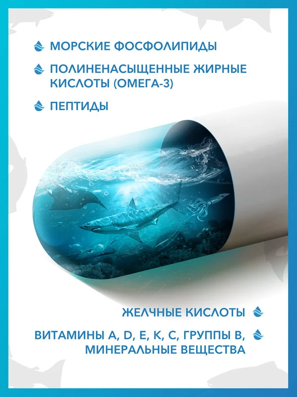 Пищевая добавка Доктор Море Гепамарин, Морские фосфолипиды для печени, 120 капсул по 0,15г