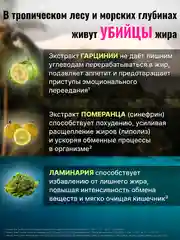 Пищевая добавка Доктор Море Жиросжигатель на основе L-карнитина, 60 капсул