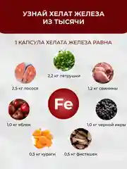 БАД к пище Доктор Море Железа хелат, 90 капсул