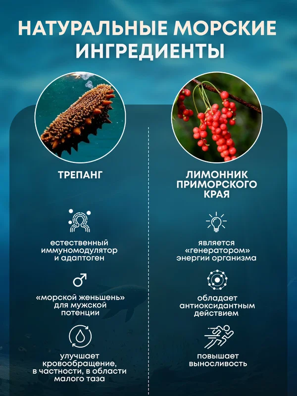 Пищевая добавка Доктор Море Сироп лимонника с трепангом, 100 мл