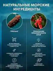 Пищевая добавка Доктор Море Сироп лимонника с трепангом, 100 мл