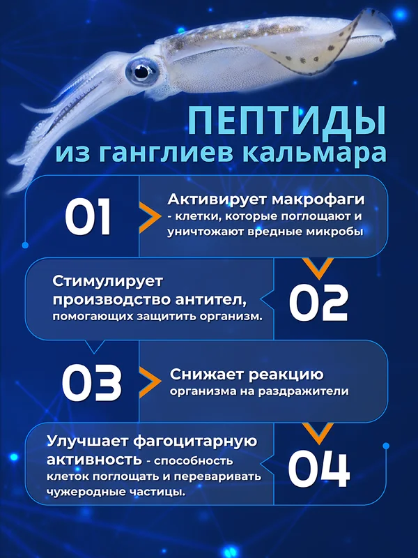 Бад к пище Доктор Море "ИммуноСтимул", 20 капсул по 0,2 г