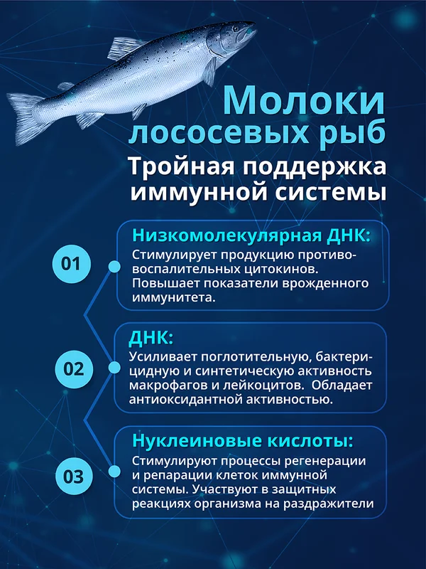 Бад к пище Доктор Море "ИммуноСтимул", 20 капсул по 0,2 г