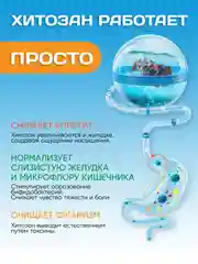 Пищевая добавка "Доктор Море", из панциря краба камчатского, 120 капсул по 0,2 г