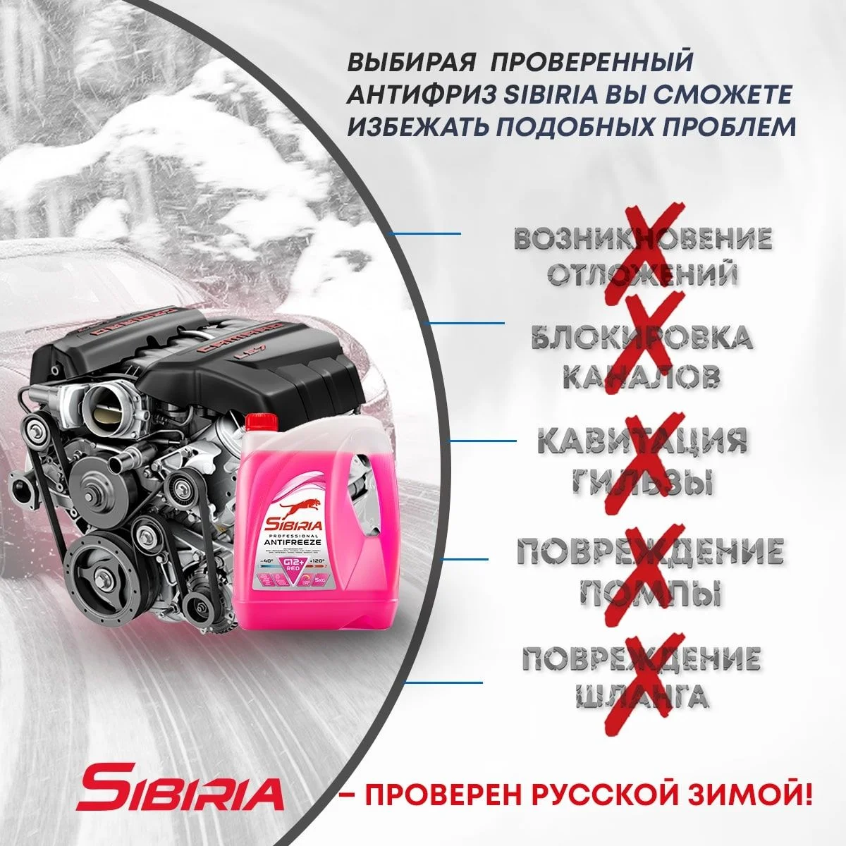 Антифриз для двигателя автомобиля SIBIRIA ANTIFREEZE G12+ (-40)