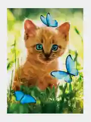 Алмазная мозаика с полным заполнением на холсте Котёнок с бабочками, 15 х 21 см