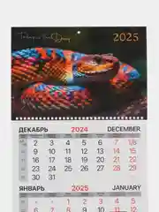 Календарь настенный квартальный отрывной 2025 Brauberg Символ года, 116125
