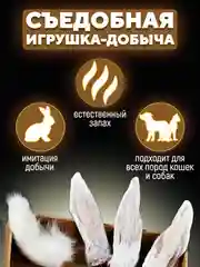 Съедобная игрушка для котят и кошек, Кисуэль, ухо кролика, хвост кролика, 4 шт