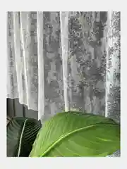 Белый тюль на кухню балкон короткая 300x155
