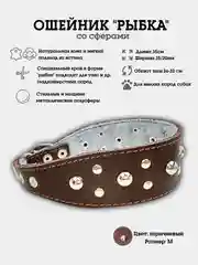 Коричневый ошейник "Рыбка со сферами" из натуральной кожи и ватина