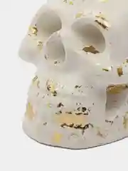 Белый череп из гипса в черном и белом цвете