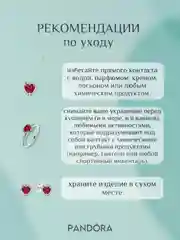 Красный подарочный набор Pandora возвышенное сердце