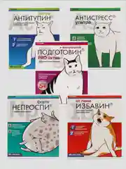 Фиолетовый тетрадь А5 общая, 48 листов в клетку "Котики таблетки"
