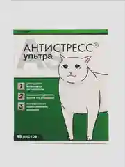 Зеленый тетрадь А5 общая, 48 листов в клетку "Котики таблетки"