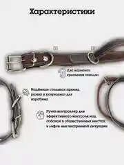 Коричневый ошейник с ручкой для собак, двойной, из натуральной кожи и брезента