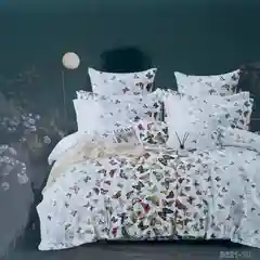 Разноцветный белье постельное 2 спальное евро 200Х215 (70х70) Софья 100% хлопок Сатин