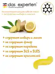 Интенсивно увлажняющая зубная паста Ginger Force, 70 мл, Das Experten